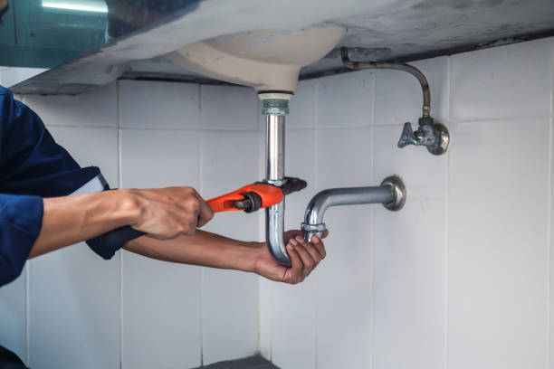 Best Clogged Drain Plumber  in Hooper, NE